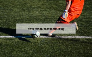 2022世界杯(2022世界杯决赛)