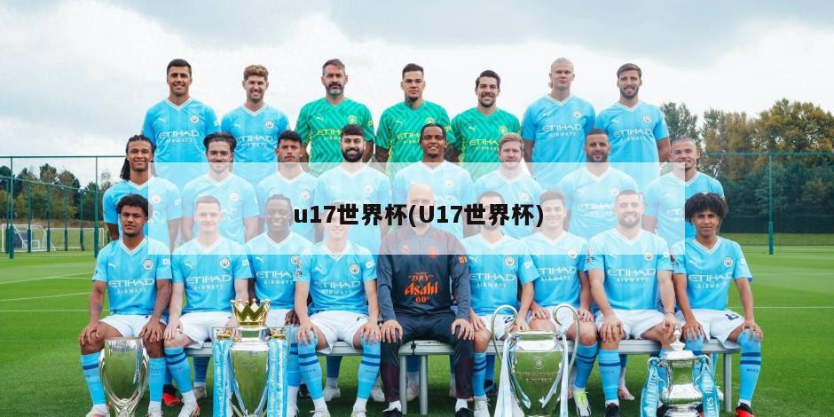 u17世界杯(U17世界杯)-第1张图片-海莱特体育