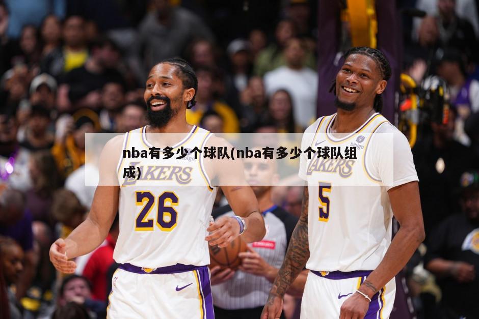 nba有多少个球队(nba有多少个球队组成)-第1张图片-海莱特体育